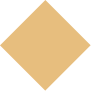 Vector-rect.png